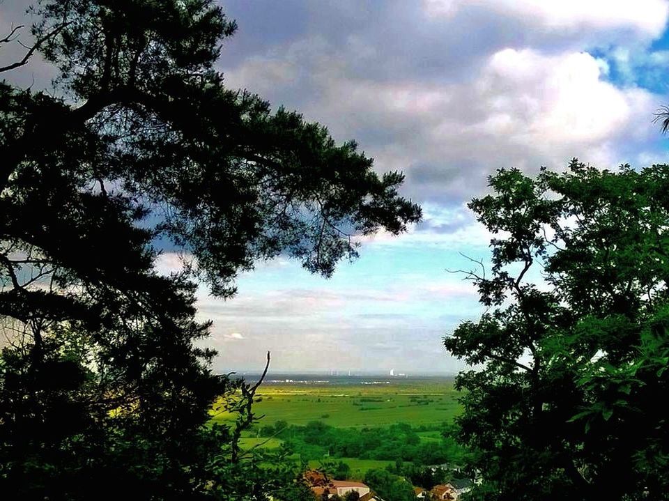 sky, tree, cloud - sky, tranquil scene, tranquility, green color, grass, scenics, beauty in nature, landscape, cloudy, growth, nature, field, cloud, idyllic, plant, grassy, green, non-urban scene