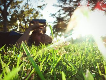 Dog standing on grass