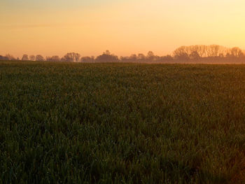 Scenic view of landscape against clear sky