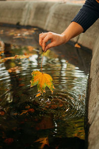 Autumn background, fall its coming, hello autumn, things to come, beautiful fall. female hand 