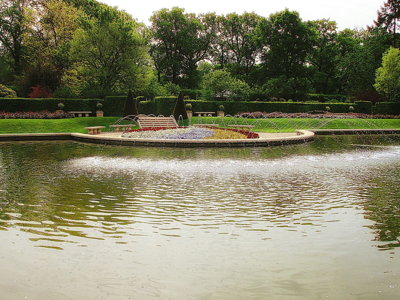 water, tree, green color, reflection, waterfront, nature, pond, tranquility, growth, beauty in nature, river, tranquil scene, park - man made space, lake, outdoors, scenics, rippled, day, fountain, no people