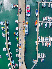 High angle view of boats moored at harbor