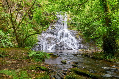 Water flowing through rocks in forest