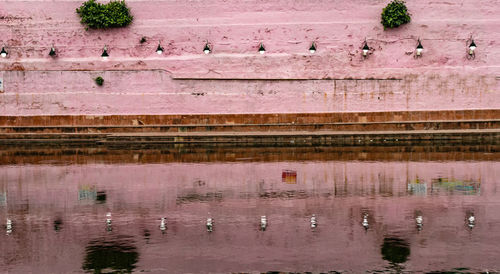 High angle view of birds in lake