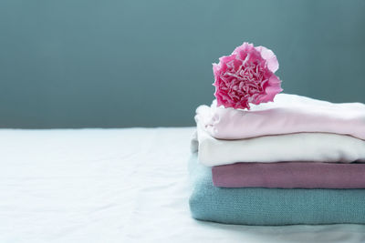 Close-up of hand holding pink flower against white wall