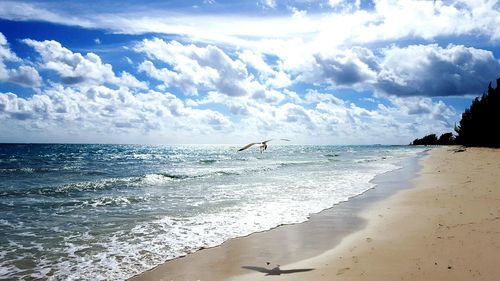 Scenic view of beach against sky