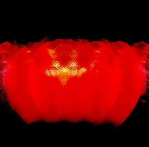 Low angle view of illuminated red lights against black background