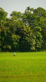 People walking on field