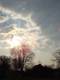 Low angle view of silhouette trees against cloudy sky