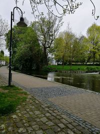 Street by trees in park against sky