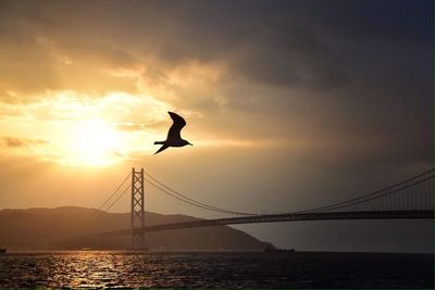 Silhouette of suspension bridge over sea