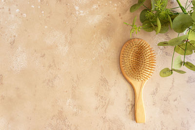 High angle view of plant in container