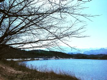 Bare trees by lake against sky