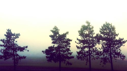 Trees on landscape against sky during winter