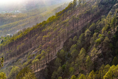 Scenic view of landscape