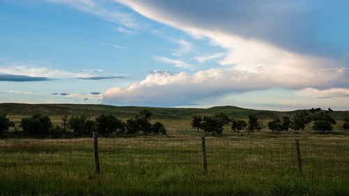 Scenic view of grassy landscape against cloudy sky