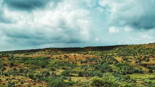 Scenic view of landscape against sky
