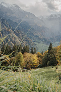 Swiss scenic view of alpine mountains