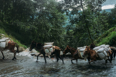 Group of people walking in rainy season