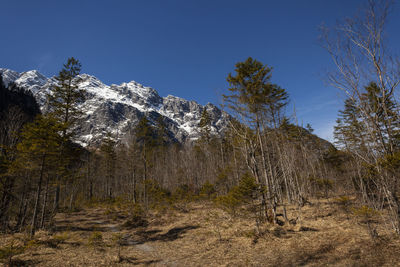 Watzmann ostwand at lake königssee in berchtesgaden national park, bavaria, germany