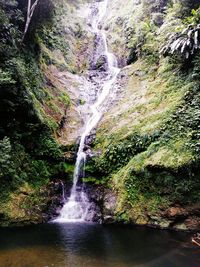 Scenic view of waterfall