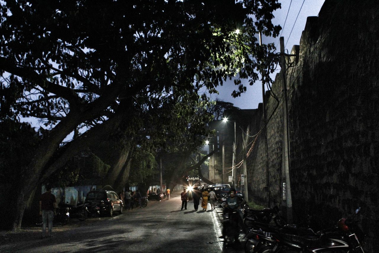 PEOPLE WALKING ON ROAD ALONG TREES