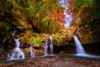 Low angle view of waterfall in forest