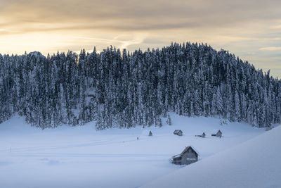 Scenic view of snow covered field against sky