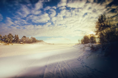 Road by trees against sky during winter