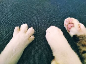 Low section of person on bed