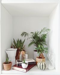 flowerpot