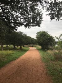 View of trees on field against sky