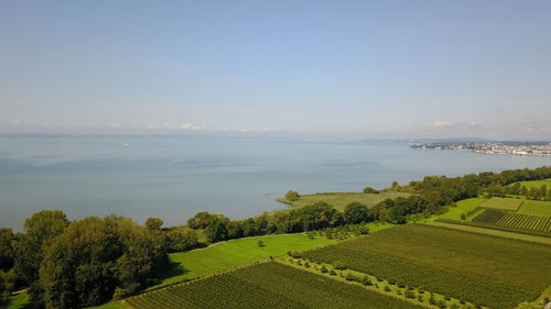 Scenic view of agricultural field by sea against sky