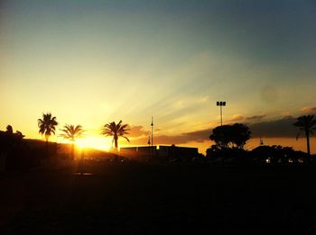 Silhouette of trees at sunset