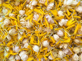 Full frame shot of heap of flowers