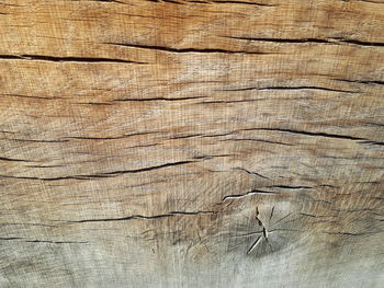 Full frame shot of weathered wood