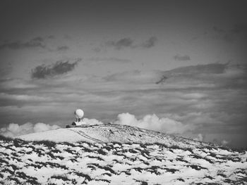 Bird on shore against sky