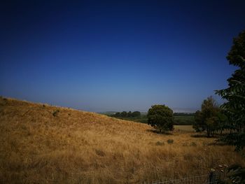 Scenic view of field against clear blue sky