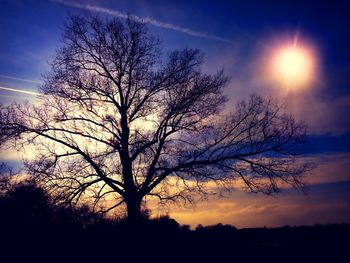 Silhouette bare tree against sky during sunset