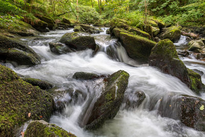 Scenic view of waterfall in forest