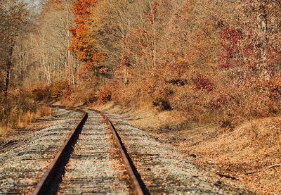 Railroad tracks amidst trees during autumn