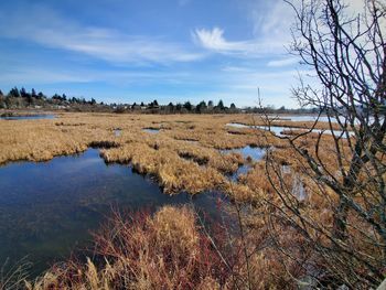 Scenic view of lake against sky