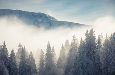 Winter landscape on an alpine plateau in the belledonne massif in chamrousse