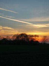 Silhouette trees on field against sky at sunset