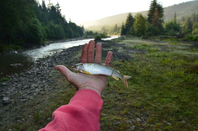 Person holding dead fish at riverbank in forest