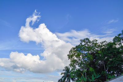 Low angle view of plants by sea against sky