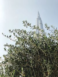 Low angle view of tree and building against sky