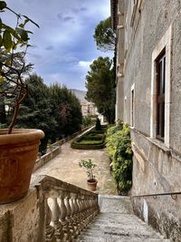 architecture
