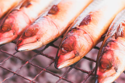 Close-up of fish on barbecue grill