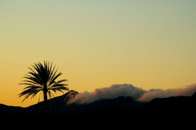 Silhouette palm trees against sky during sunset